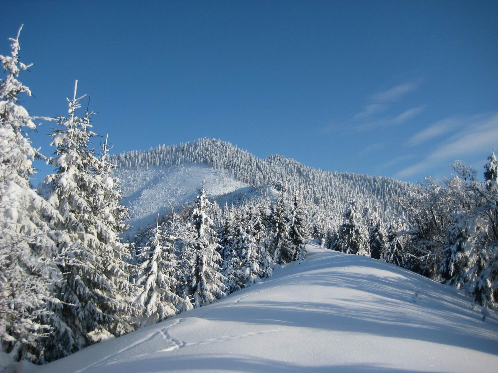 Bistrita-Nasaud